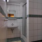Grosse 130 M2 Gemuetliche Im Herzen Tribergs Апартаменты