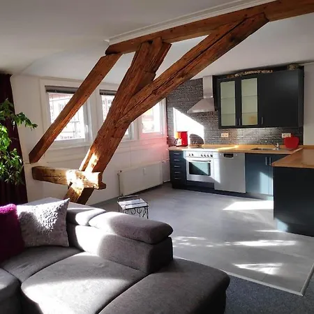 Apartment Grosse 130 M2 Gemuetliche Im Herzen Tribergs