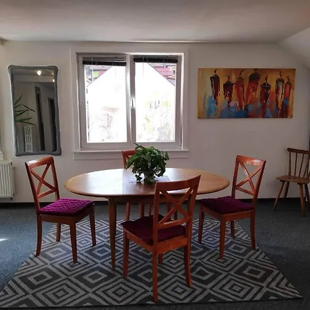 Grosse 130 M2 Gemuetliche Im Herzen Tribergs