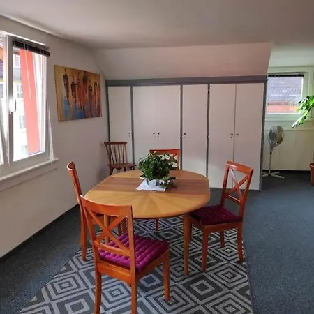 Grosse 130 M2 Gemuetliche Im Herzen Tribergs * Triberg im Schwarzwald