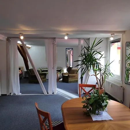 Grosse 130 M2 Gemuetliche Im Herzen Tribergs *