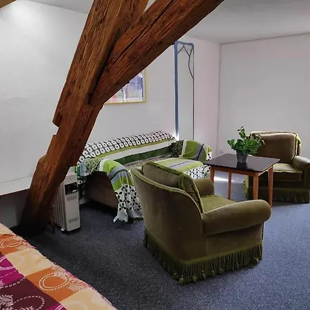 Grosse 130 M2 Gemuetliche Im Herzen Tribergs