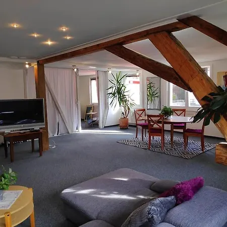 Apartment Grosse 130 M2 Gemuetliche Im Herzen Tribergs