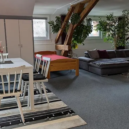 Apartment Große 130 M2 Gemütliche Im Herzen Tribergs