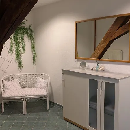 Grosse 130 M2 Gemuetliche Im Herzen Tribergs Apartamento